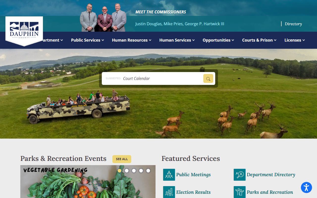 Dauphin County Court of Common Pleas website for traffic court records