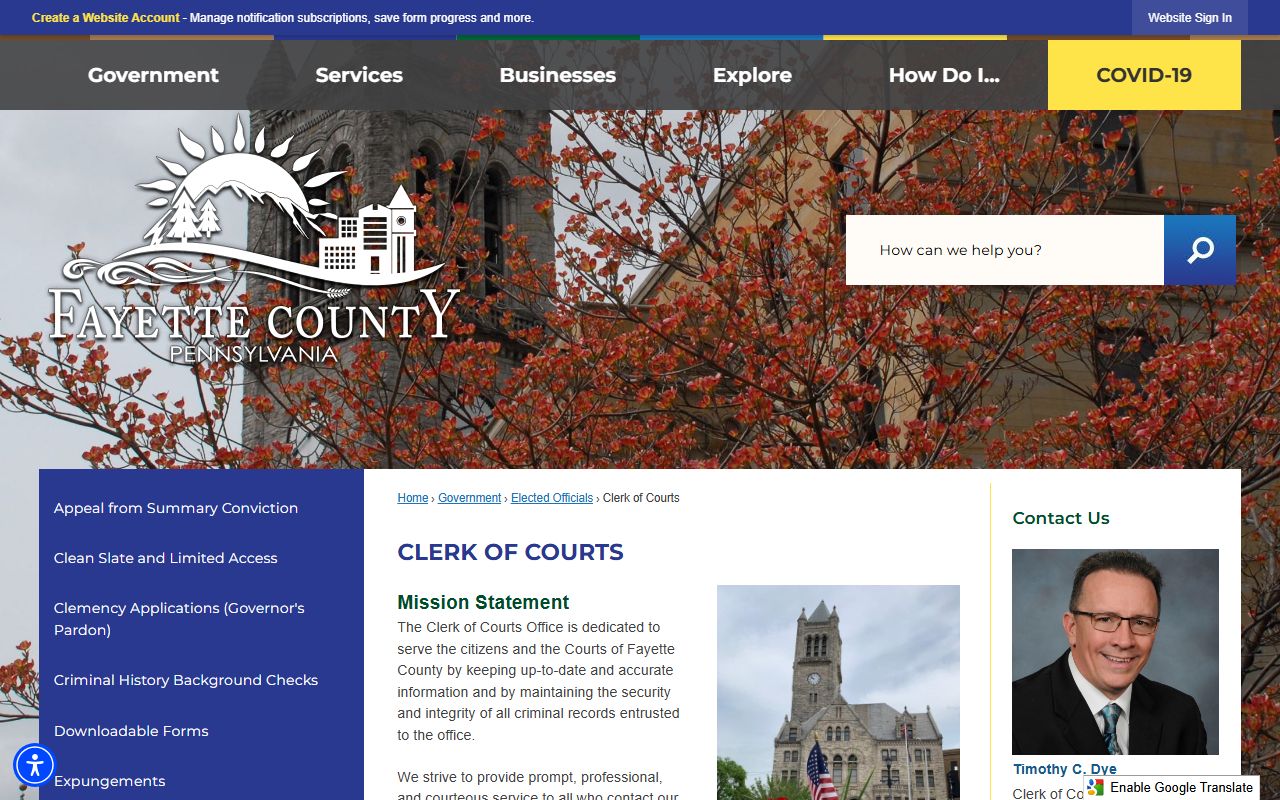 Fayette County Clerk of Courts traffic record access page