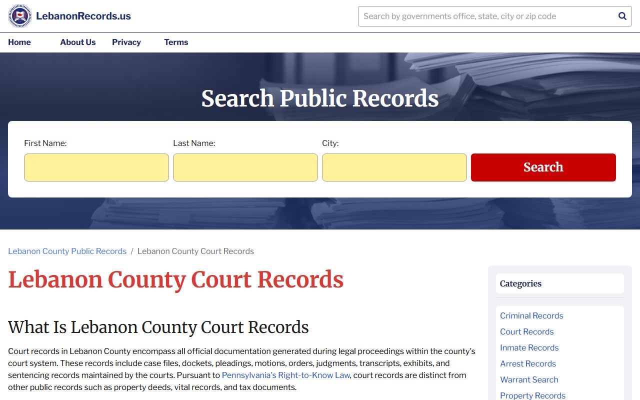 Lebanon County court records website showing traffic case information