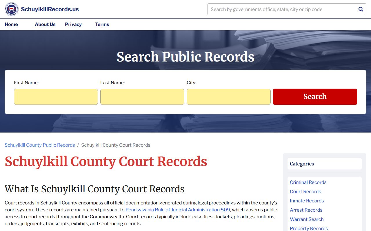 Schuylkill County court records access page for traffic docket searches